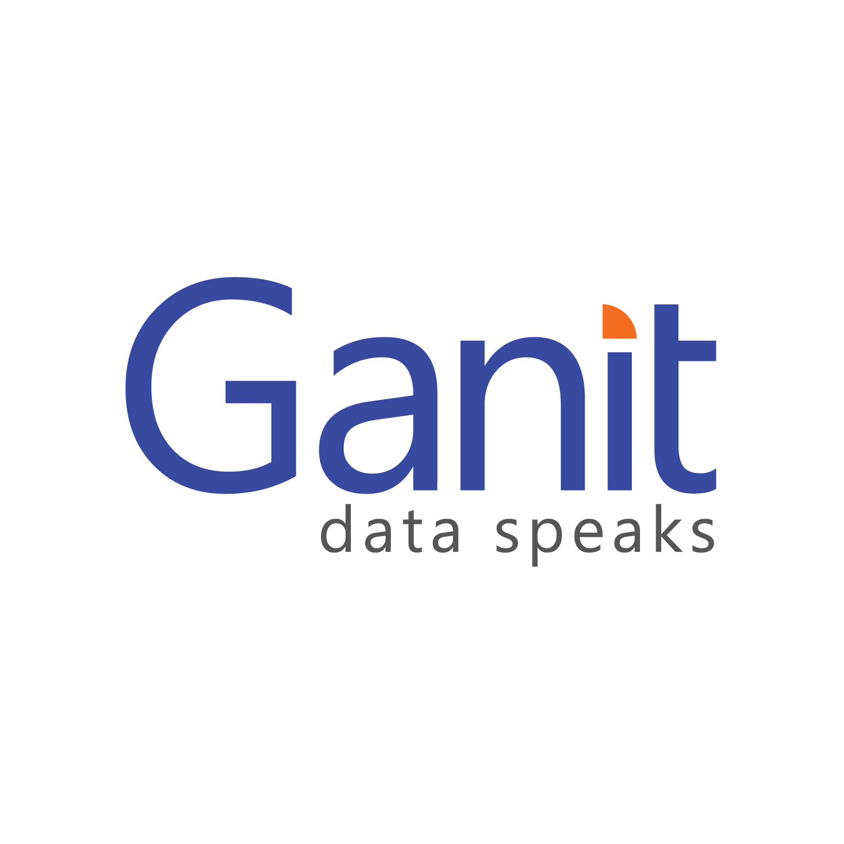 Ganit Inc.